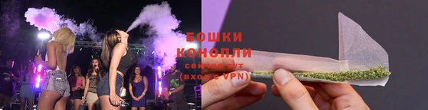 гидра Бородино