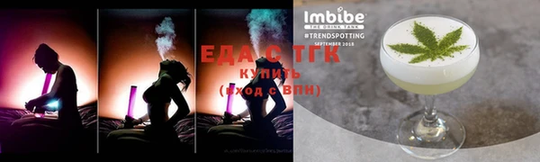 гидра Бородино