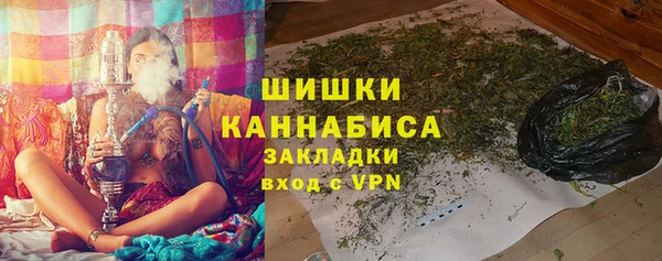 гидра Бородино