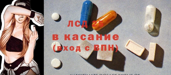 гидра Бородино