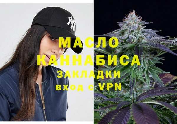 гидра Бородино