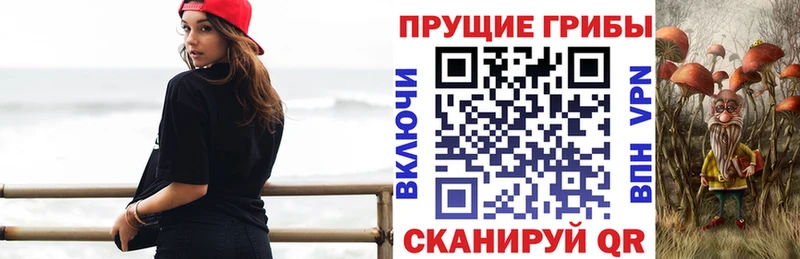 ОМГ ОМГ Вязники Псилоцибиновые грибы мухоморы