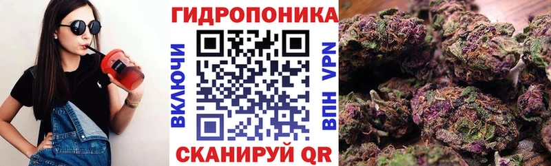 Шишки марихуана Amnesia  Вязники 